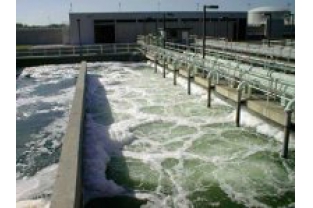 污泥活性不夠？