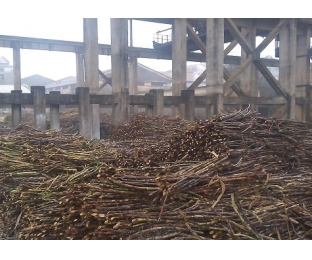 廣西來賓某堿氯法甘蔗渣制漿廠除COD、脫色案例分享