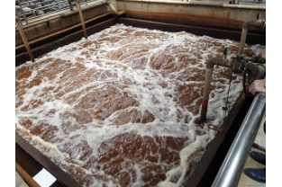 重金屬離子怎么總是超標？這水沒法排了！